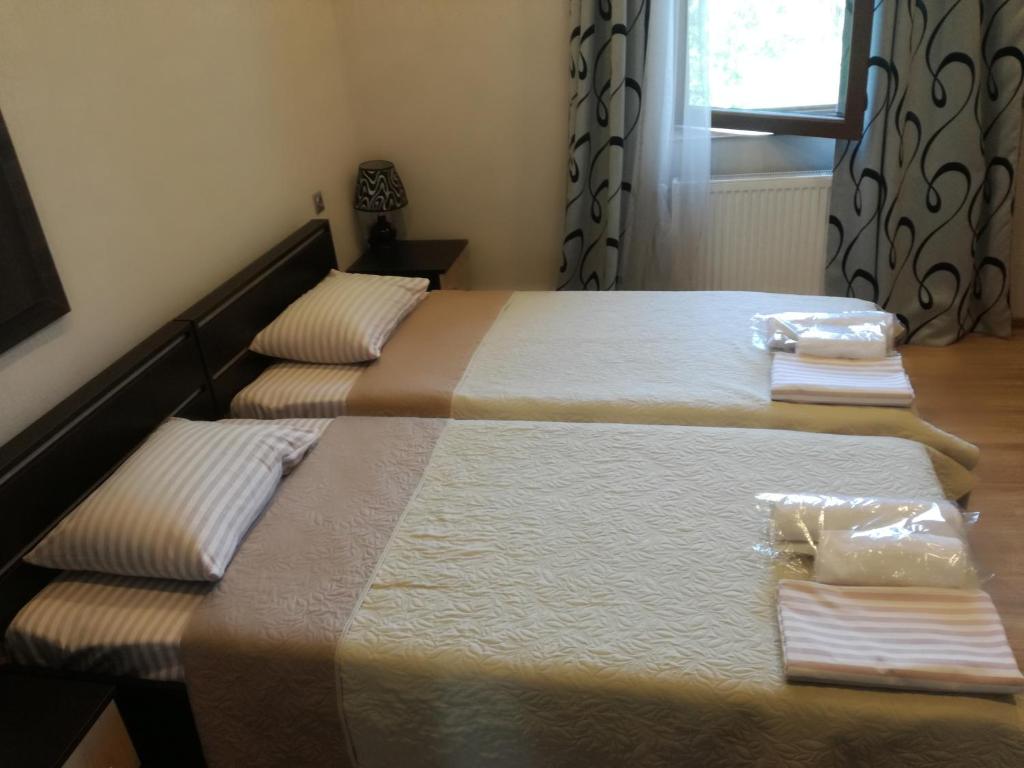 Guest House Kakheti photo 1