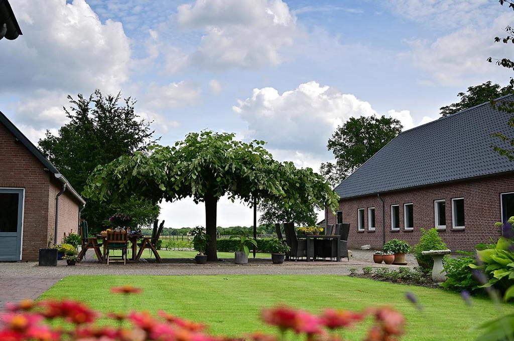 De Lakenvelder B&B Eersel photo 1