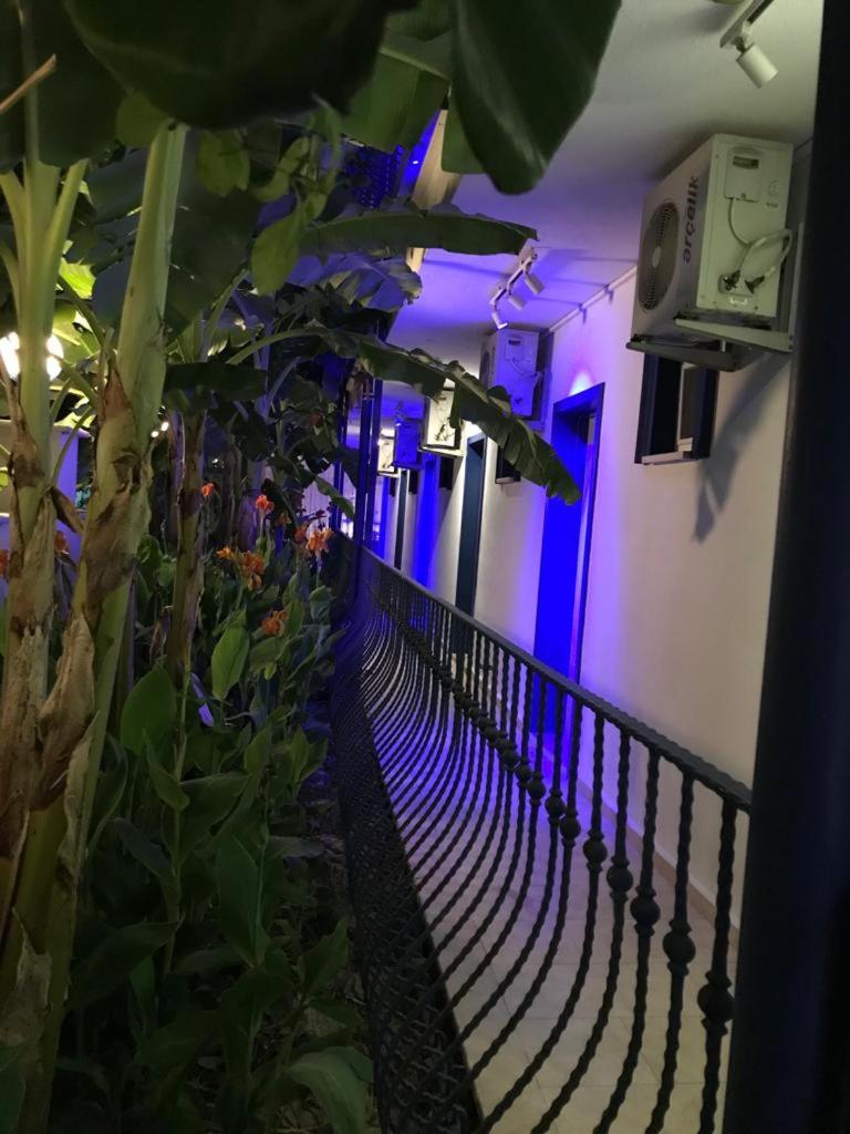 Rota Hotel photo 3