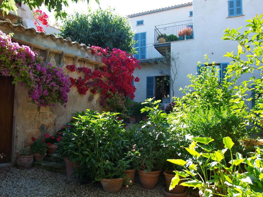 Es Picarol Sineu photo 3