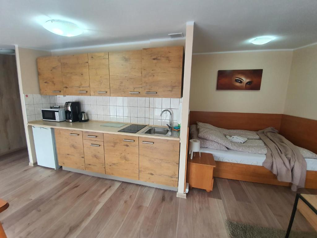 Апартаменты (Стандартные апартаменты), ApartHouse Apartamenty Centrum
