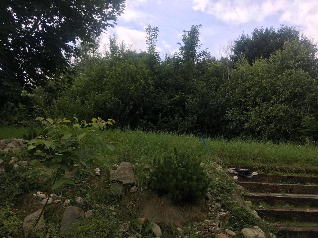 Siedlisko U Źródeł photo 3