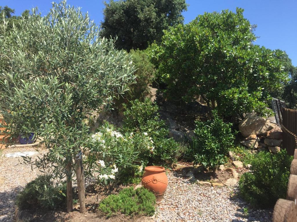 Villa Gardenia mit Pool und traumhaftem Meerblick photo 4