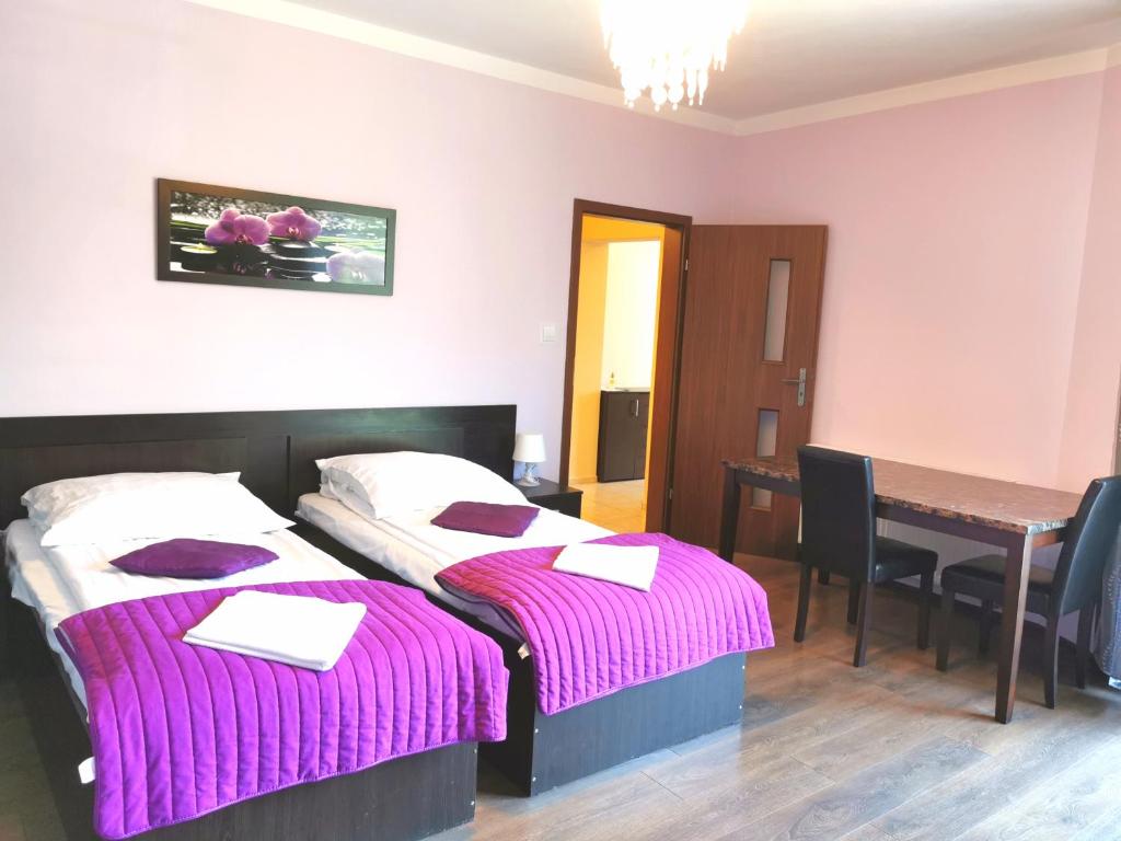 Апартаменты (Просторные апартаменты с 2 спальнями), Apartamenty Dolna Kraków