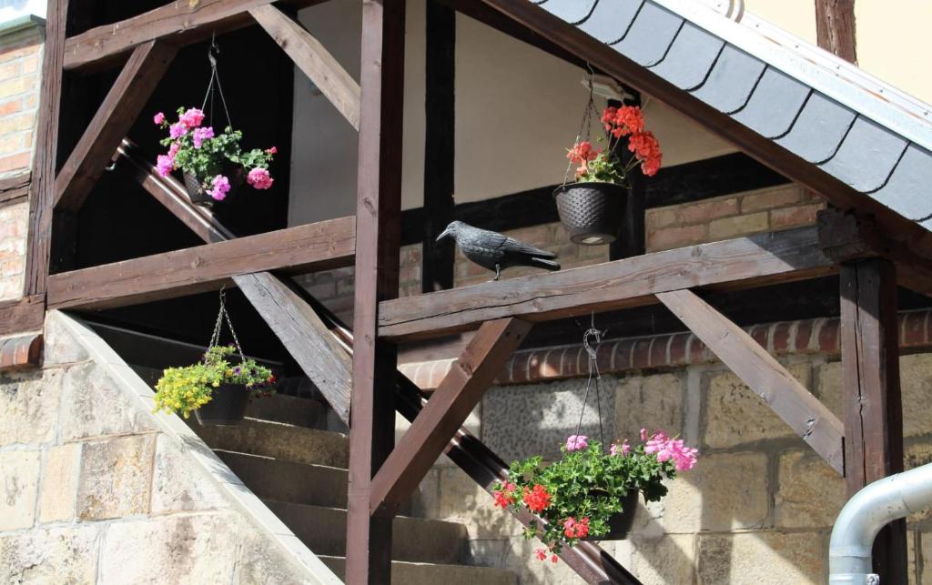 "Altes Stellwerk Frose" am Froser See photo 2