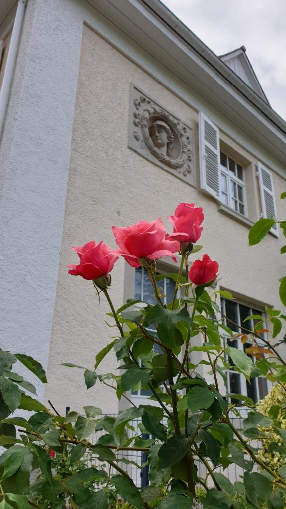 Lilienmatt Apartments photo 2