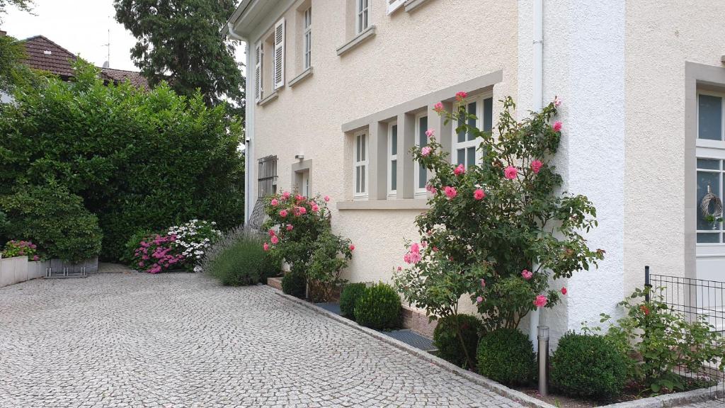 Lilienmatt Apartments photo 4