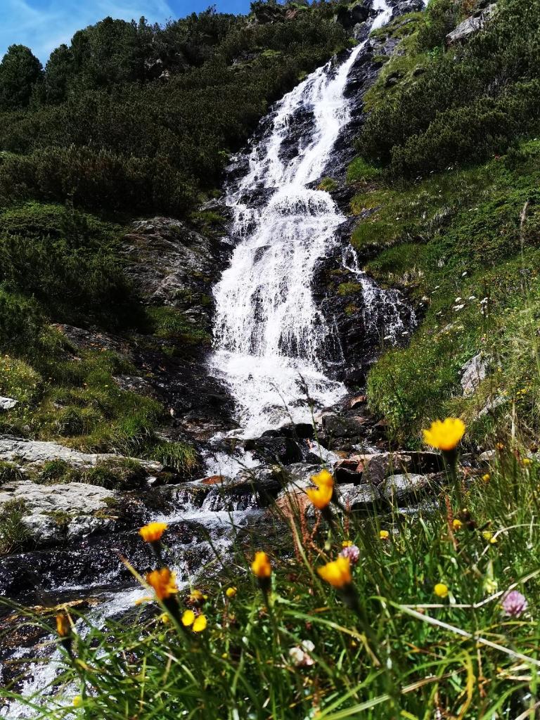 Pension Bergwelt photo 3