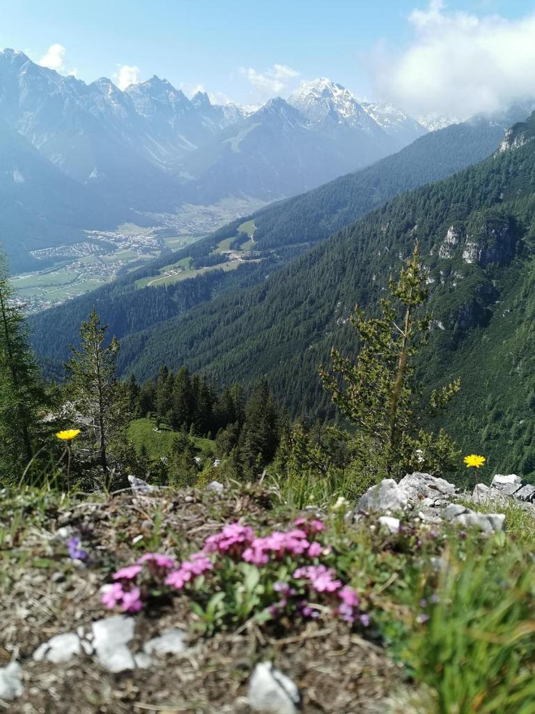Pension Bergwelt photo 1
