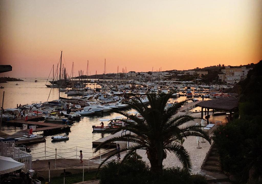A&B Homes Leuca Countryside photo 4