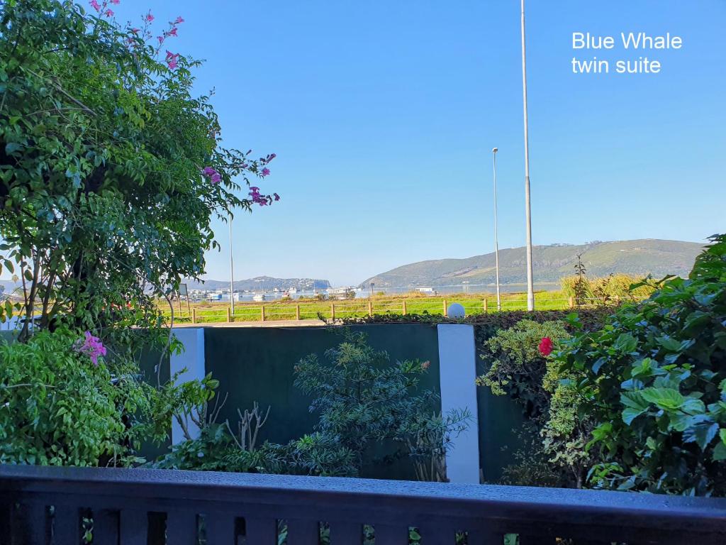 Lakeside Accommodation photo 4