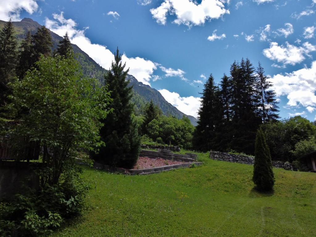 Apart Montana photo 4