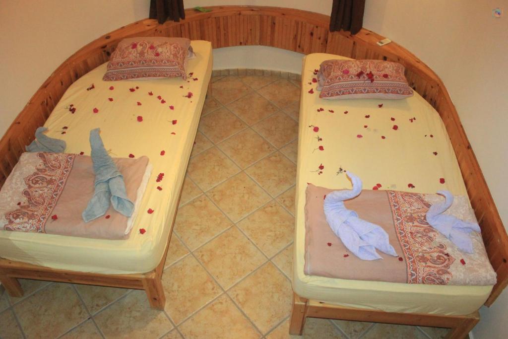 Dahabcastle photo 3