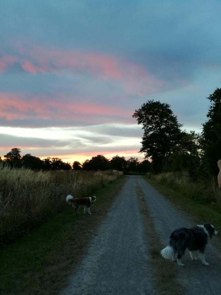 Chez Pastuso photo 2