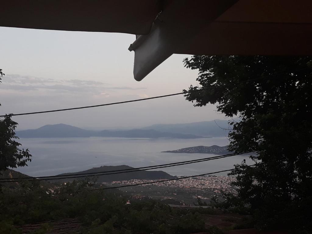 Mansion Theodora photo 1