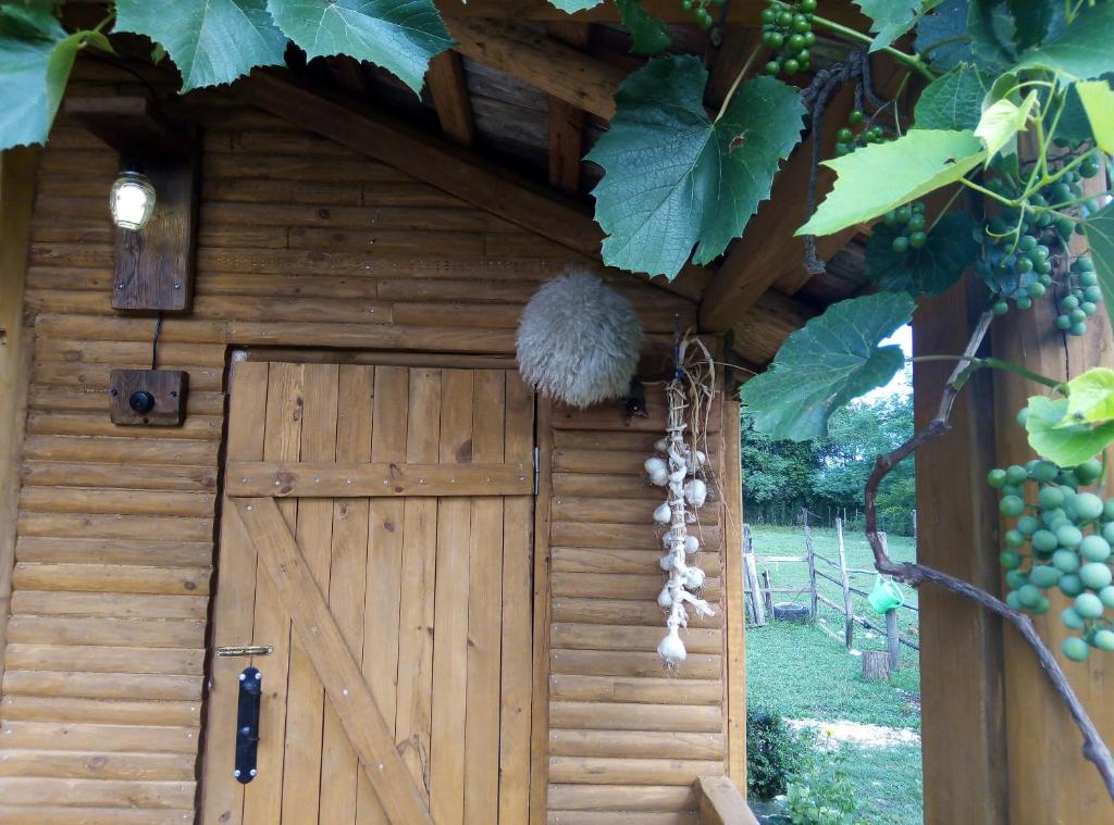 Tiny houses Genacvale photo 3