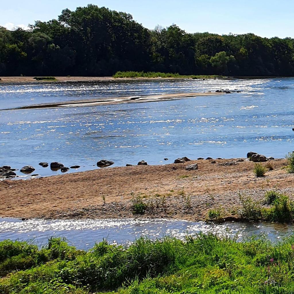 La cabine de Loire photo 1