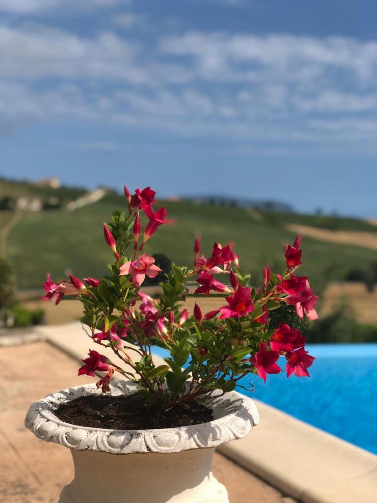 B&B Casa Fanny Riviera Del Conero photo 3