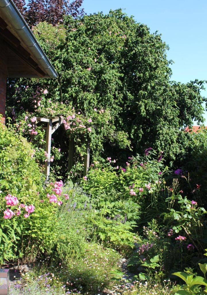 Ferienwohnung Lüntjenüst photo 3