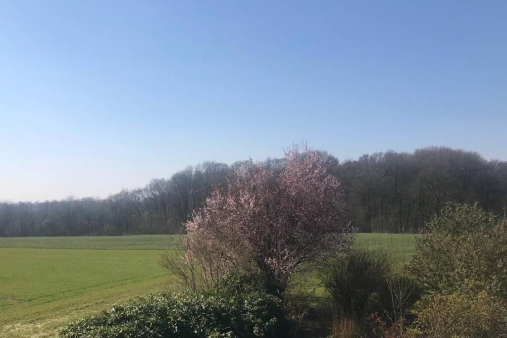 Ferienwohnung auf dem Land und trotzdem stadtnah. photo 2