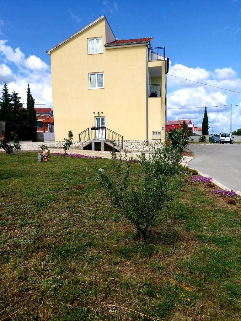 Bicho House photo 1