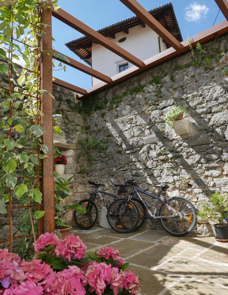 Apartmaji in sobe Odlična hiša Štanjel photo 4