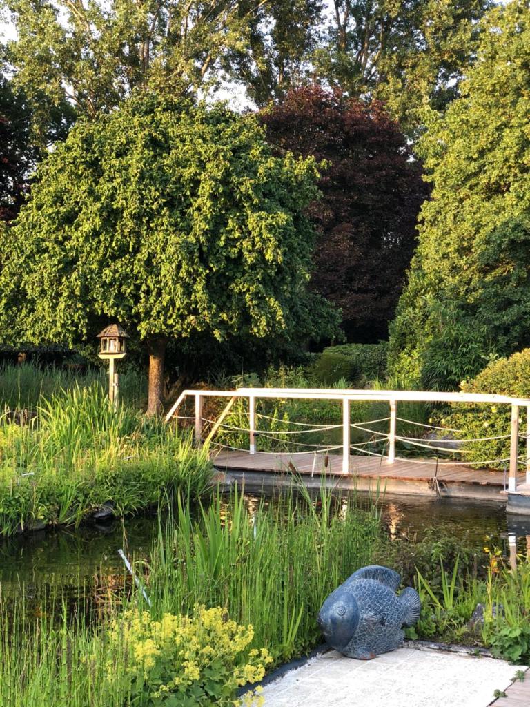 JARDIN DU MARAIS photo 4