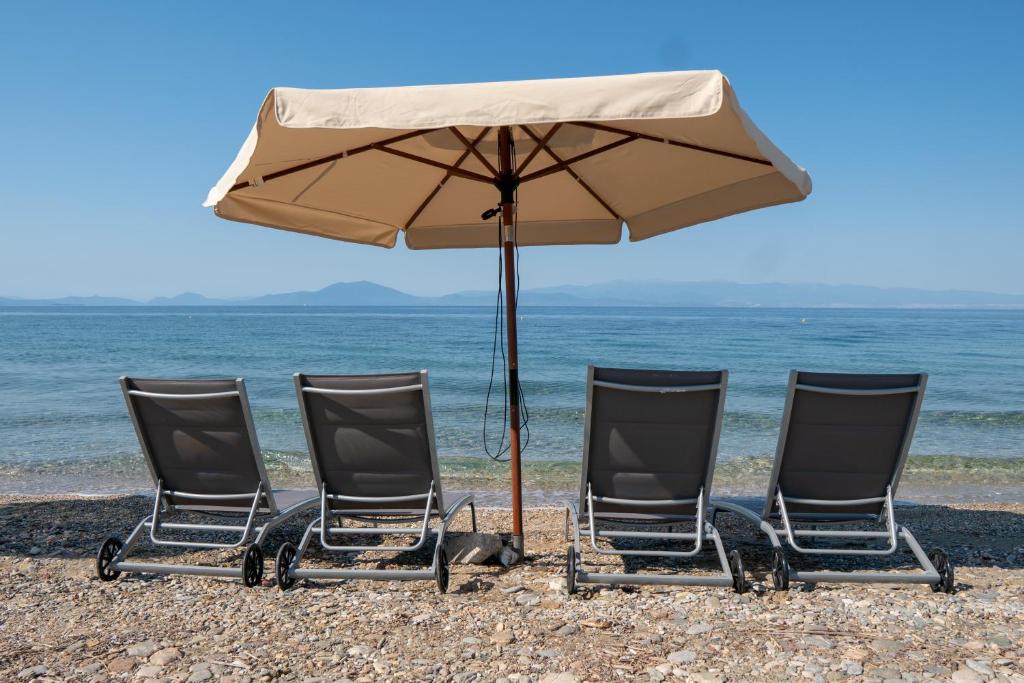 Villa Ambrosia, beach house, Platanidia, Pelion photo 2
