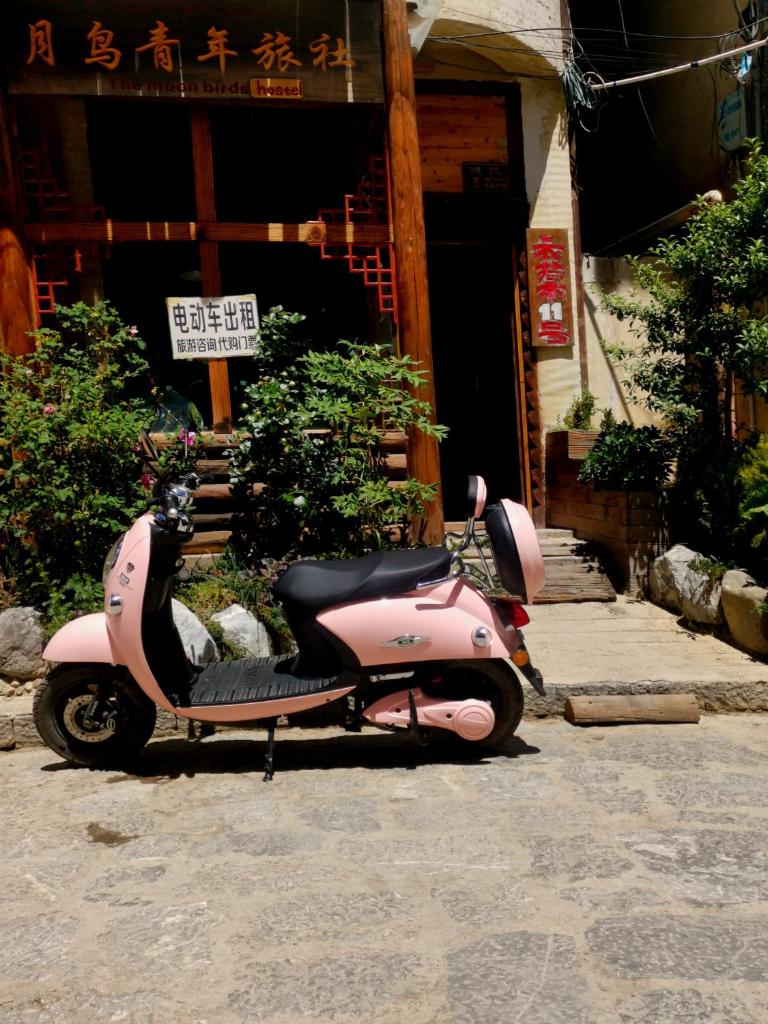 The Moon Bird Hostel photo 2
