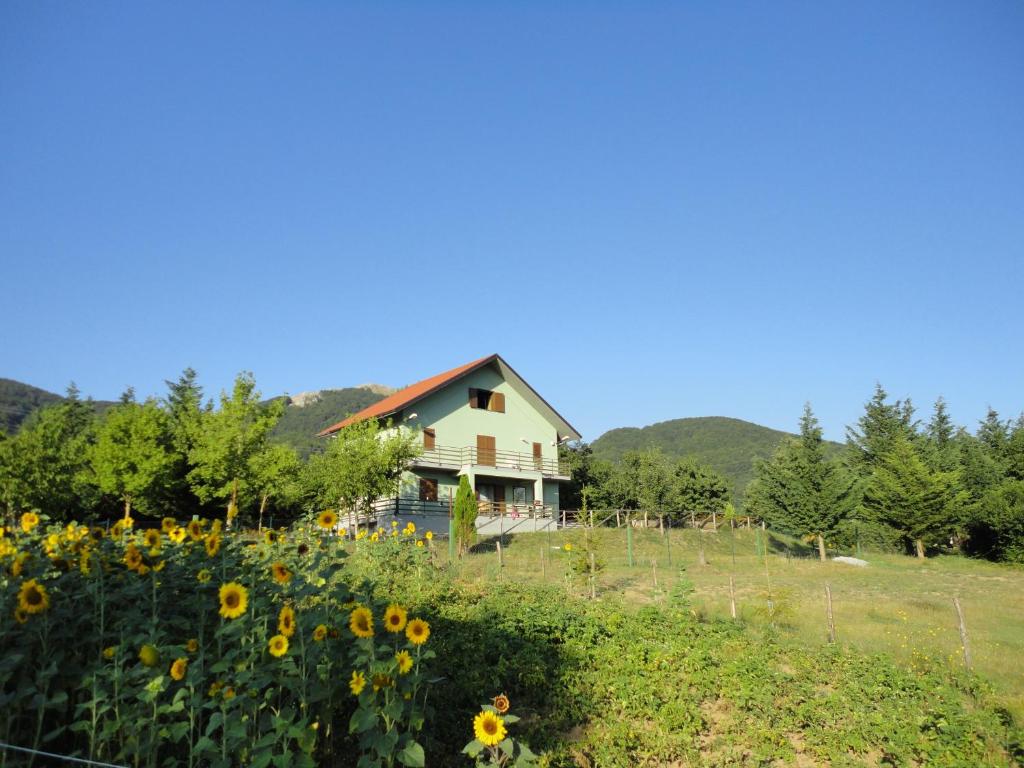 Green House