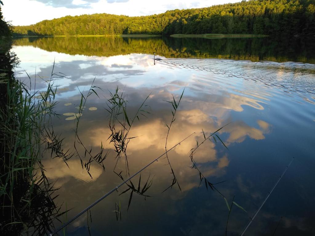 Dom Wakacyjny Kuszewo photo 3