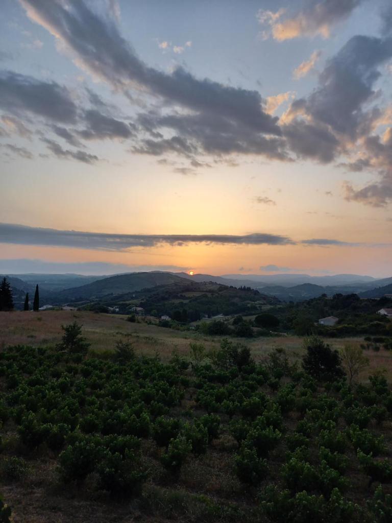 Gîte Vigneron du Domaine d'Alon photo 2