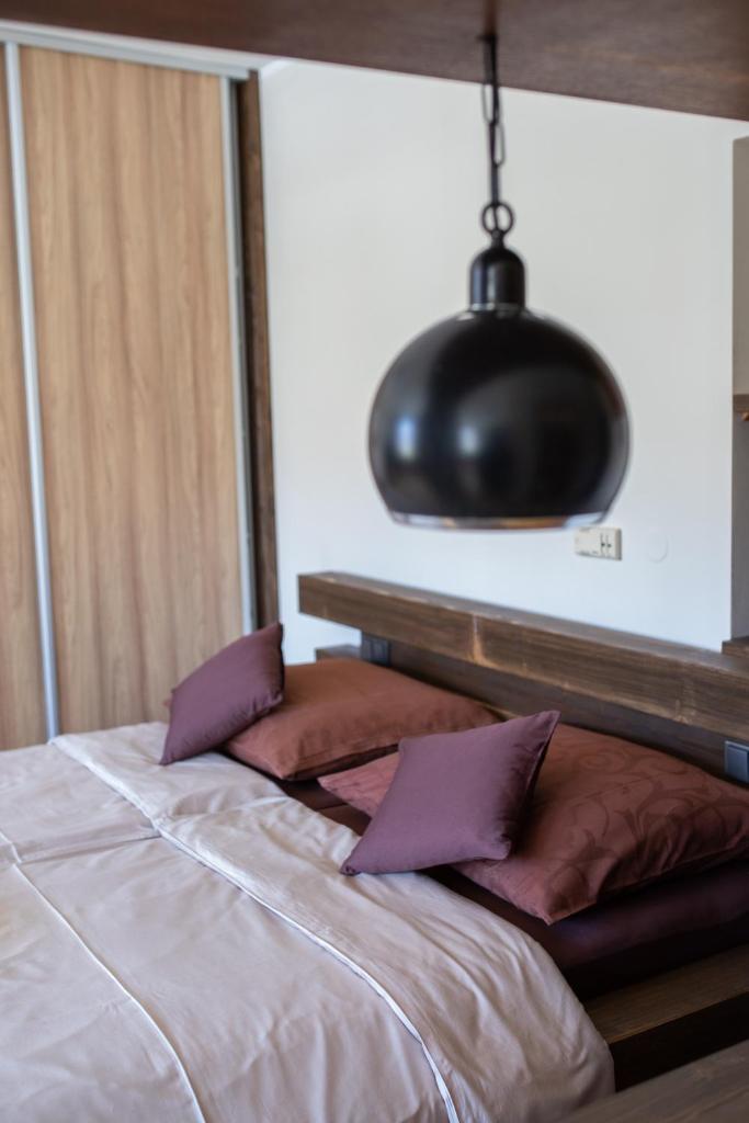 Apartmány VÍNO HRUŠKA Pardubice photo 2
