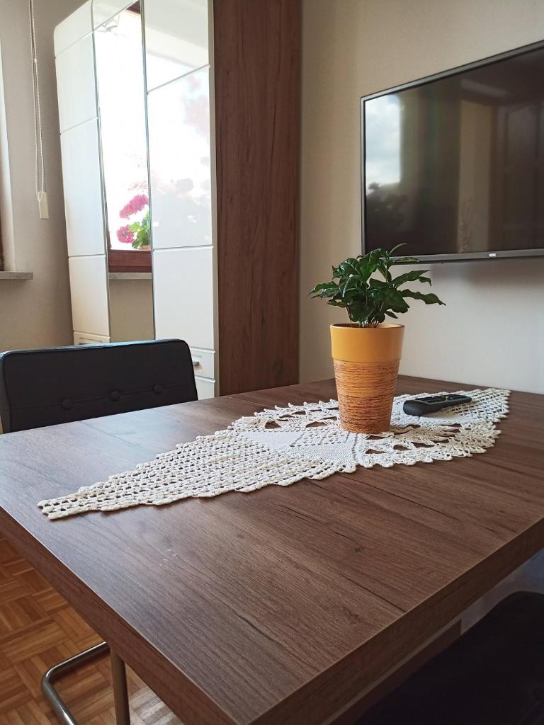 Dolenjska vila photo 3