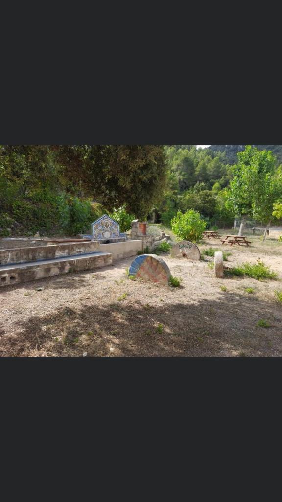 casaDaniel photo 4