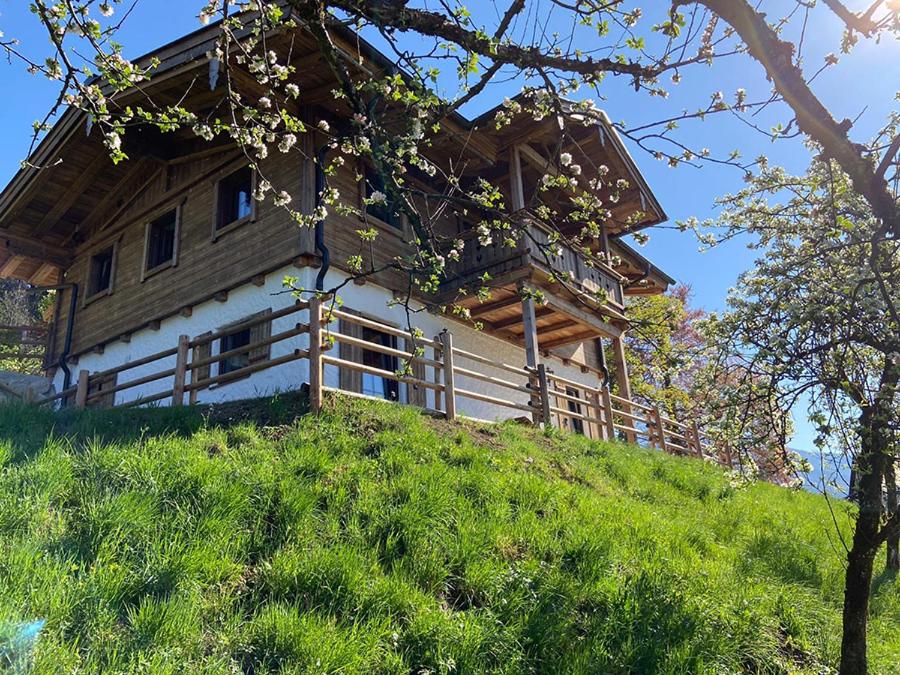 Ferienhaus Berggfui photo 3
