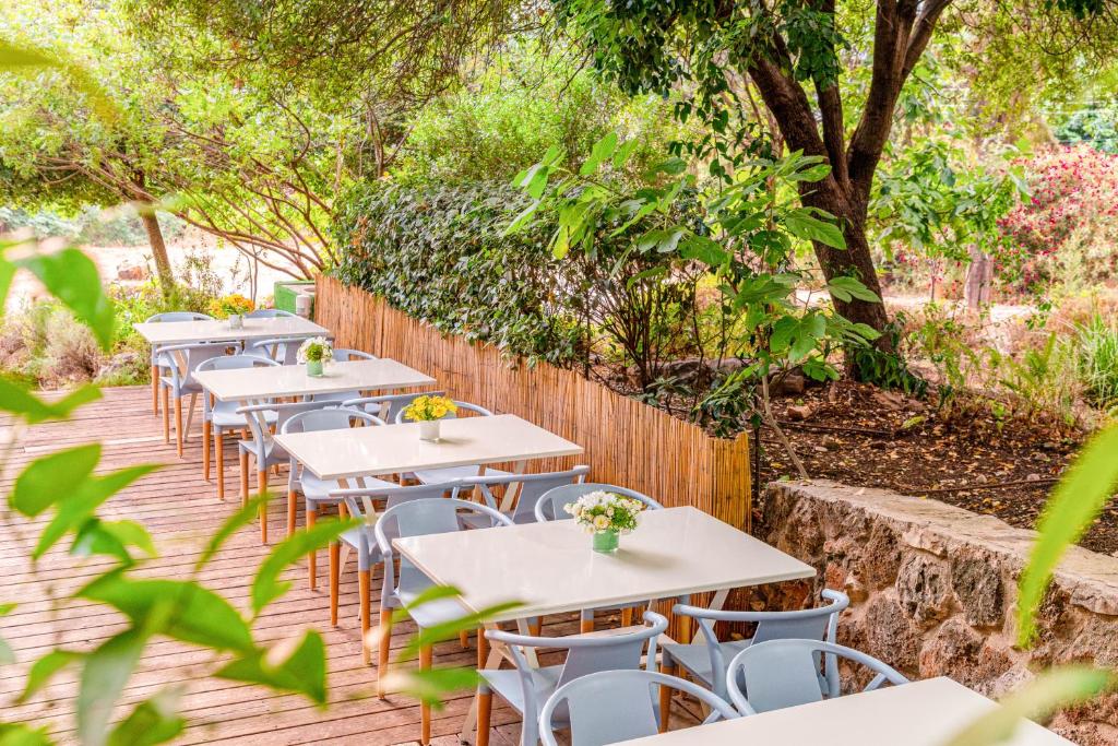 Travel Hotel Eilon photo 3