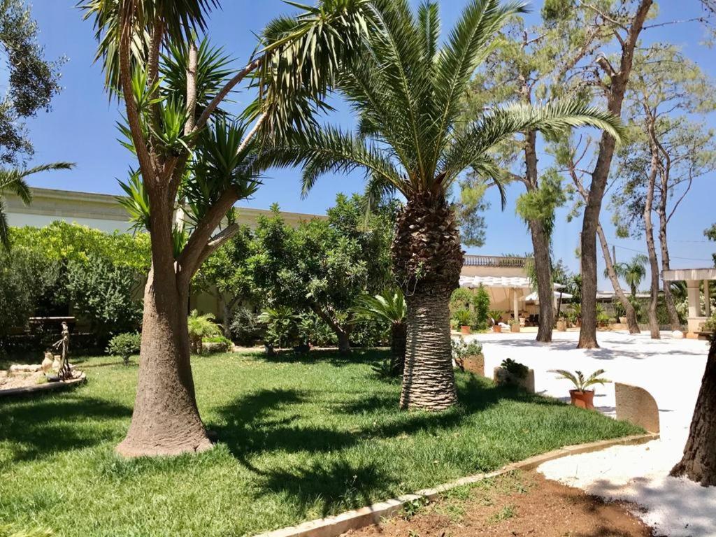 B&B TENUTA AGNUSDEI photo 2