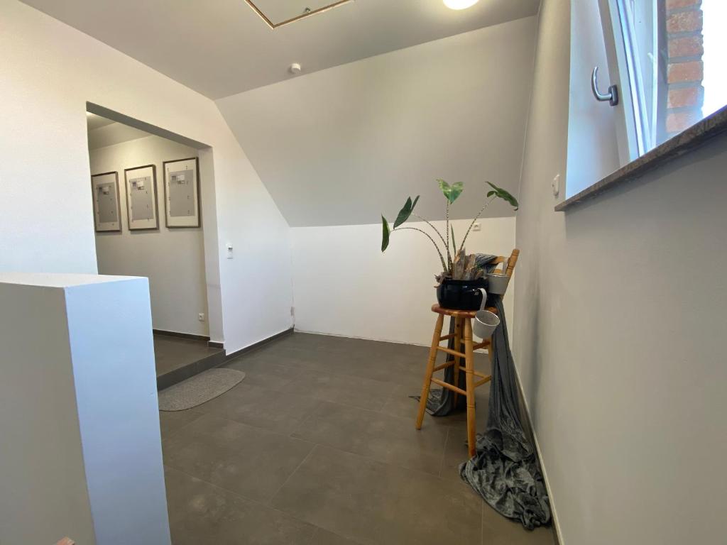 Apartment Meine photo 4