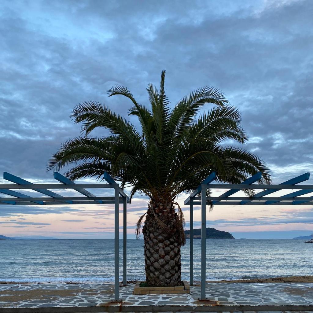 Iraklitsa Beach photo 3