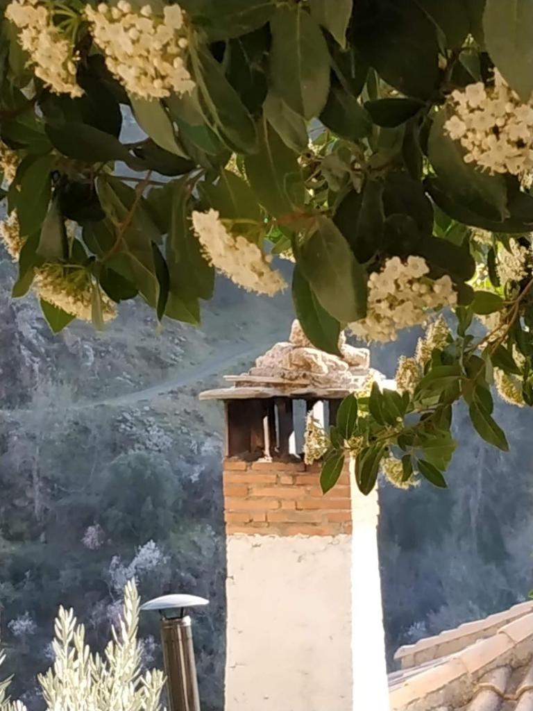 Cortijo La Solana photo 1
