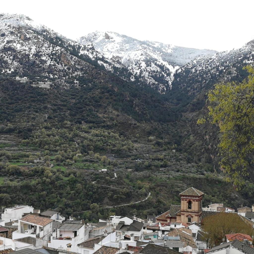 Cortijo La Solana photo 2