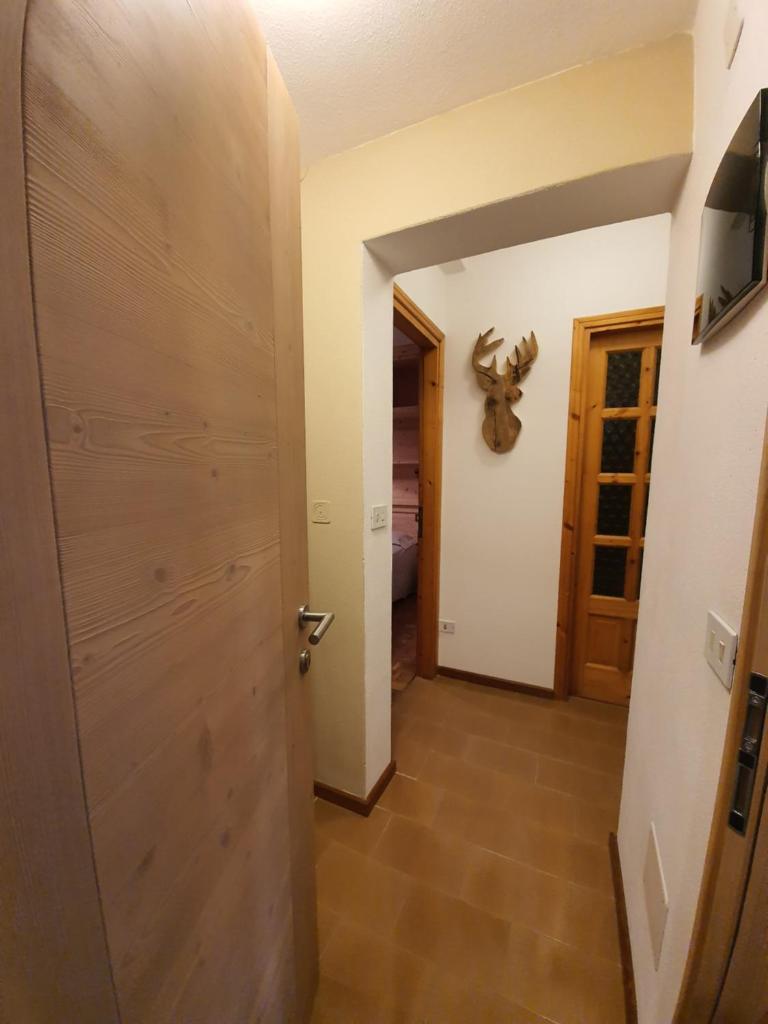 Casa Andreola photo 4