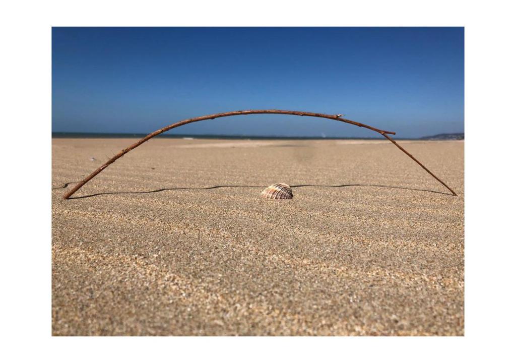 Villers-sur-Mer photo 4