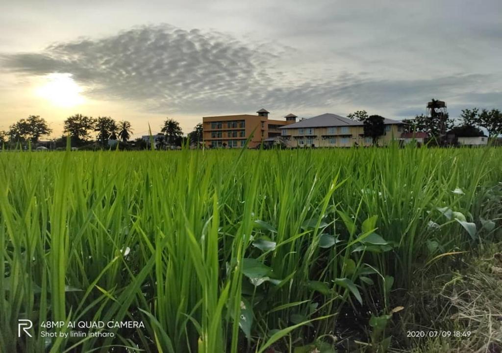 Soo Guan Villa photo 4