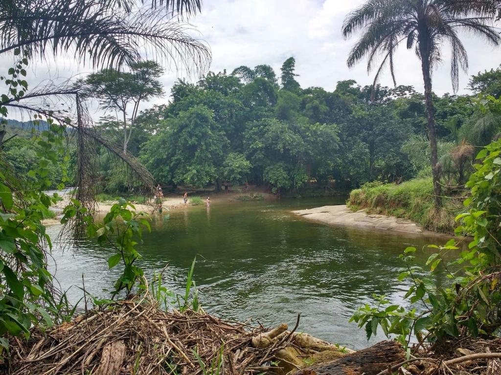 Rios Cristalinos em Guapiaçu