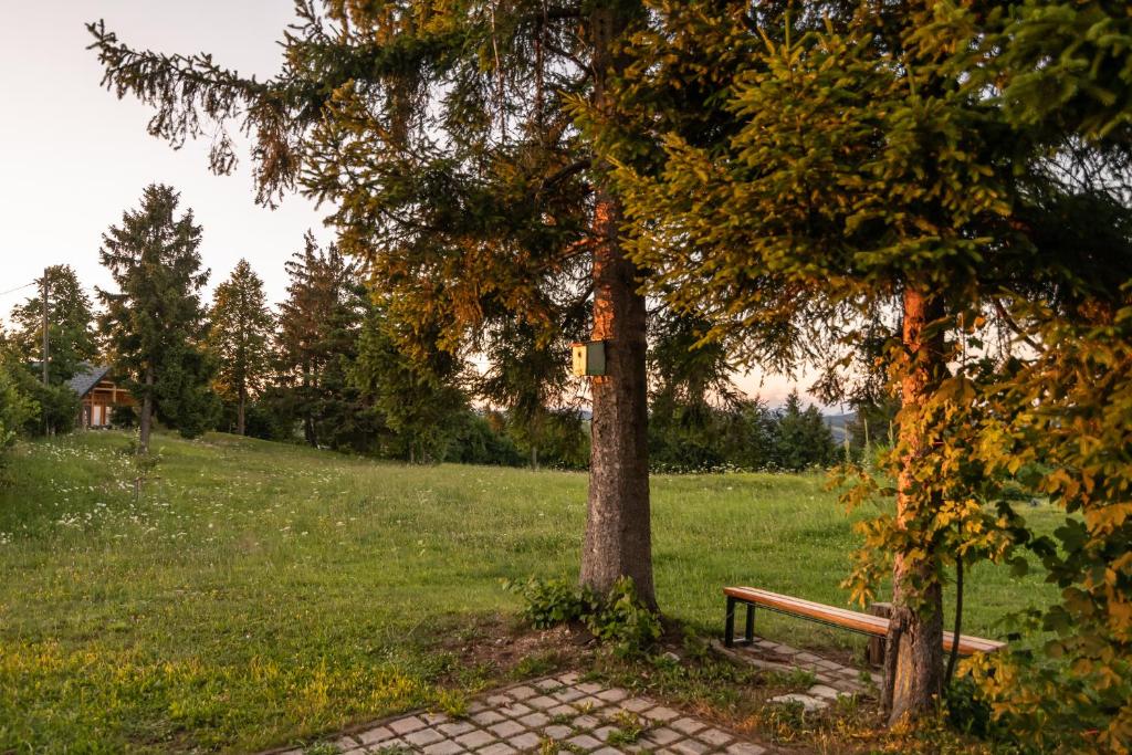 Holiday Home Razglednik photo 1
