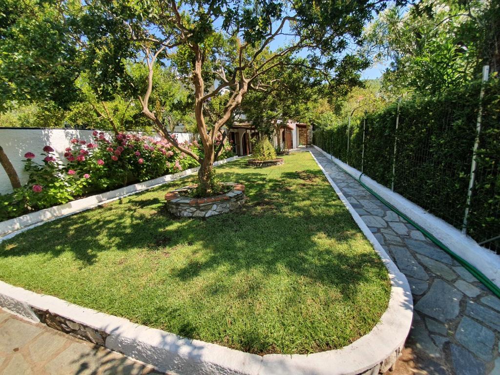 Dionisos Studios and Apts Skiathos photo 2