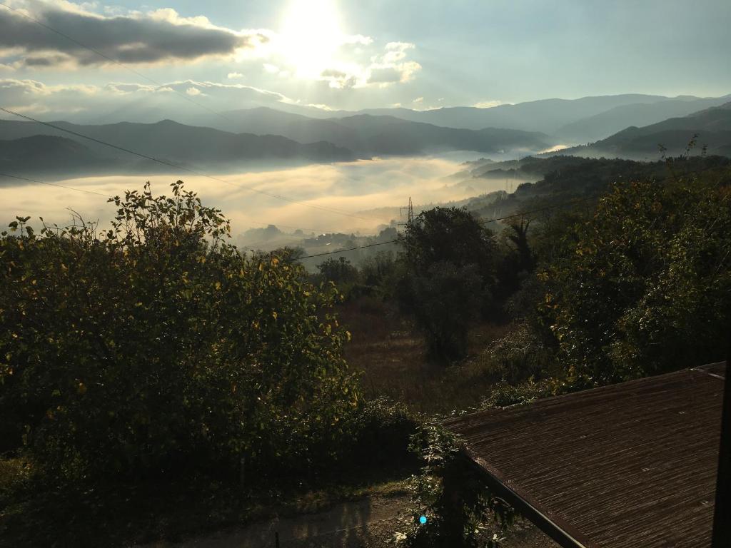 Il Mugello B&B photo 2