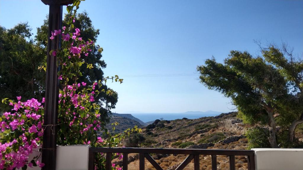 Chora Place photo 2